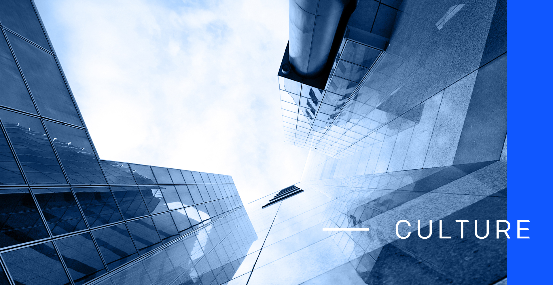 威尼斯9499登录入口(中国)有限公司官网